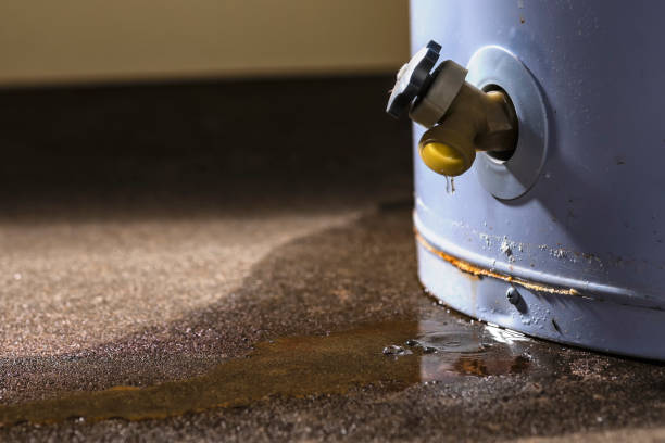 Best Water damage cleanup near me  in Okawvle, IL