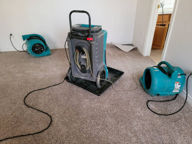 Carpet water damage restoration in Okawville, IL