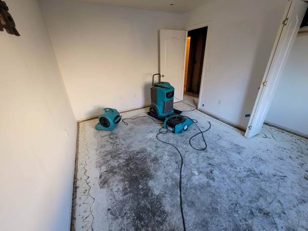 Sewage cleanup and water damage restoration in Okawville, IL