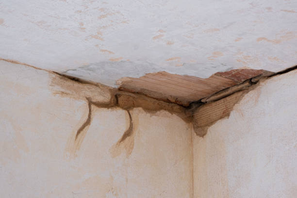Best Local water damage restoration  in Okawvle, IL