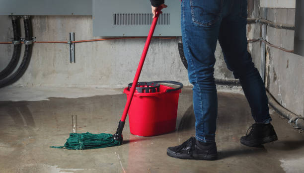 Professional Water damage restoration in Okawville, IL