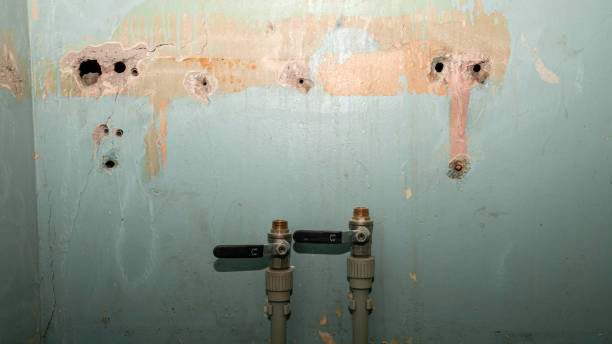 Best Emergency water damage restoration  in Okawvle, IL