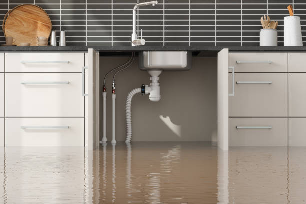 Best Residential water damage restoration  in Okawvle, IL