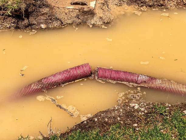 Best Flooded house restoration  in Okawvle, IL